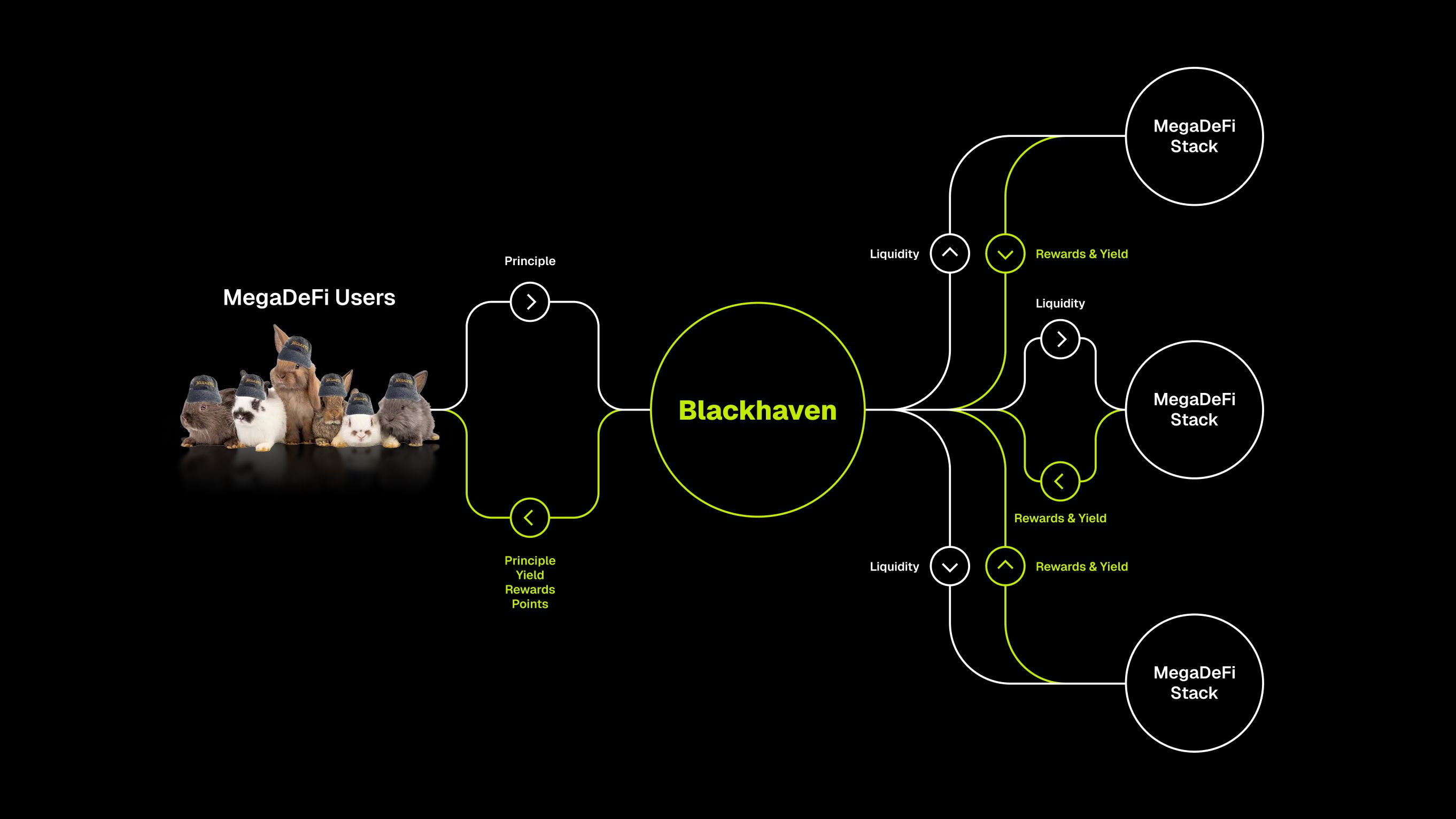 Blackhaven Target Audience